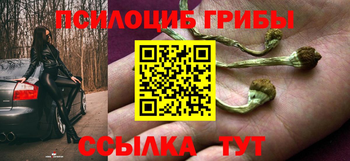 Галлюциногенные грибы Psilocybe  Вход с VPN  Солнечногорск  Псилоцибиновые грибы ЛСД 