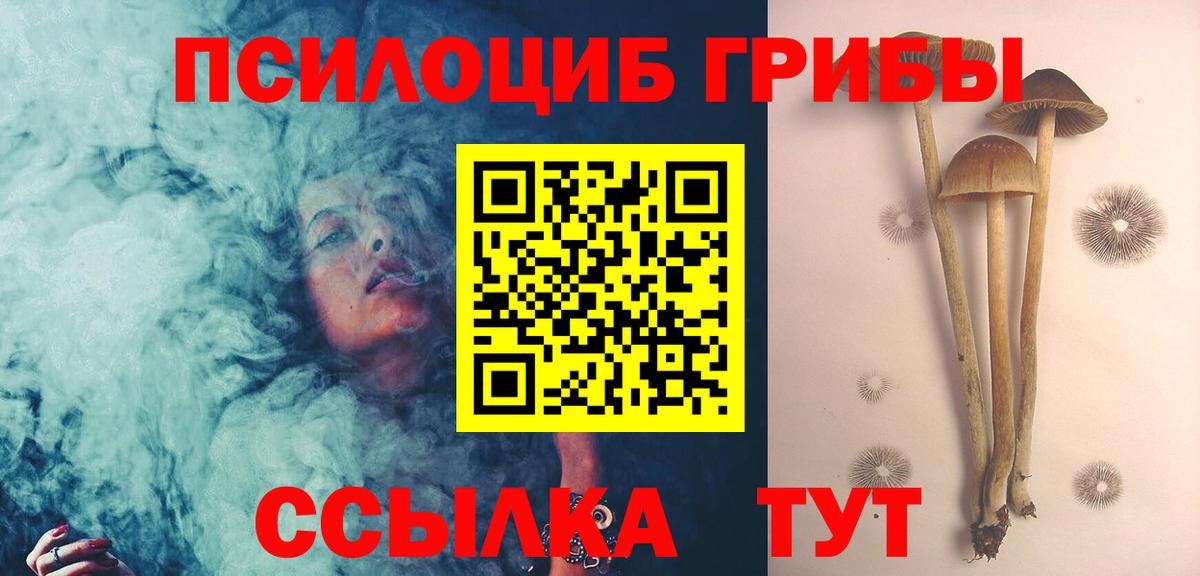 Галлюциногенные грибы Psilocybine cubensis Солнечногорск