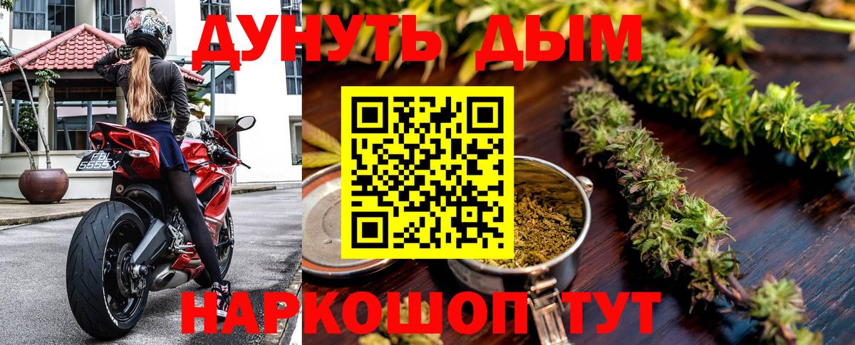 Конопля гибрид Солнечногорск